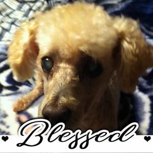 Meet your Posher, Vicki